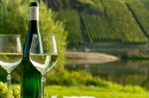 Von der Mosel bis zur Pfalz – Wo Deutschland beim Weißwein glänzt (Foto: AdobeStock - 286515100 barmalini)